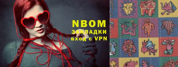 дмт Бородино
