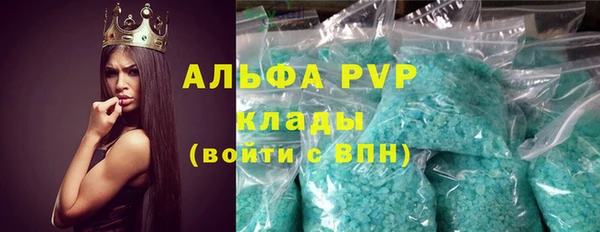 дмт Бородино